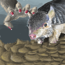 I don't know about this one... by Mbackhouse