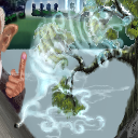 legalize armadillos! by raganaga