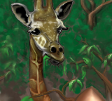 Giraffe by root88