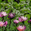 virgin adobe artist...popped my cherry by dungonmistress