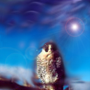 by Athene