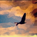 taking flight by Athene