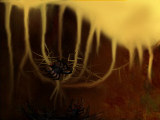 spiders of destiny... by uzim
