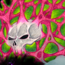 skull web by MOONCROW