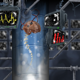 central processing by xris