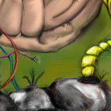 I have no idea. Please don't ask. by corpcow