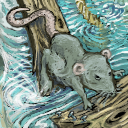 the rats have left the sinking ship by fidgit