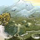 the birds keep it secret by fidgit