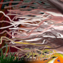 laundry in the wind by kmccann