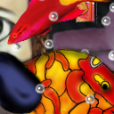 fish..fishy,fish..fish! 2D fish are harder than I thought! by cire