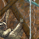 sloth by kmccann