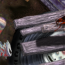 cockroach by raganaga