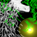 white horsie by scott