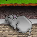 1st one at last by terreus