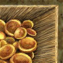 sorry no lid by ireenquench