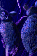 i hate rats! by raganaga