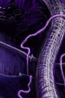 reality loss by razghul