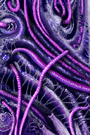 infested v2 by raganaga