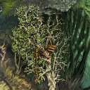 abandoned tree house by fidgit