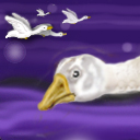 only one geese came by sookeyjane