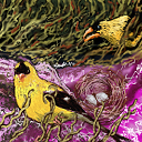 boids by raganaga