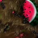 Watermelon by NetCritter