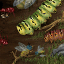 a cater-mapillar by dari