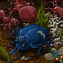 where do all those maggots come from? by fidgit