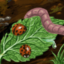 flee ladybug flee by dimeboy