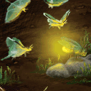 Luna Moths and Firefly by dari