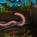 worm love by dari