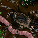 taratula in line, at a smorgasbord by raganaga