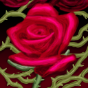 Roses by VictorSan