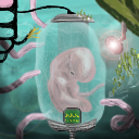 embrionary phase by VictorSan