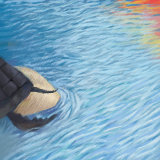 was it a turtle? by jito