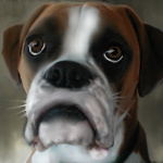 Gracie the Boxer by root88