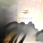Mircale by Shaahin
