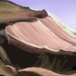 Desert by jamiem
