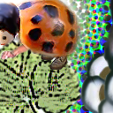 ladybug ladybug by miskate