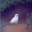 Hedwig by Kim
