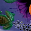 Frog, frog eggs, and some flowers... by gecko