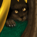 I see you! by gecko