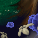 Blue bubble things with flowers by feathre