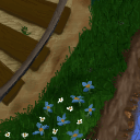 Hand-chosen posies for me and my Rosie. (O'Donell) by maxtuckett