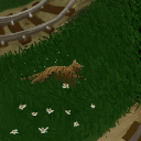 Dead cat, we'll leave it at that, Mr. Fat. by maxtuckett