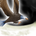 an eagle by Sub