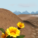 That bloomin' desert by Kim