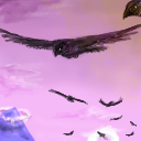 What were those black things? by gecko