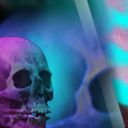 by bannerimage