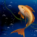 Goldfish by feathre